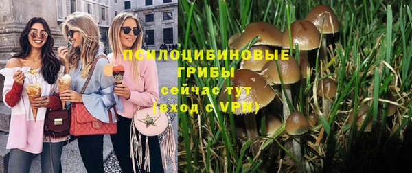 молекула духа Лиски