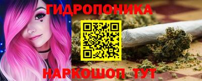 крисы Свободный