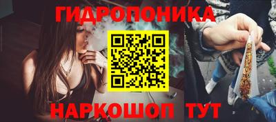 крисы Севастополь