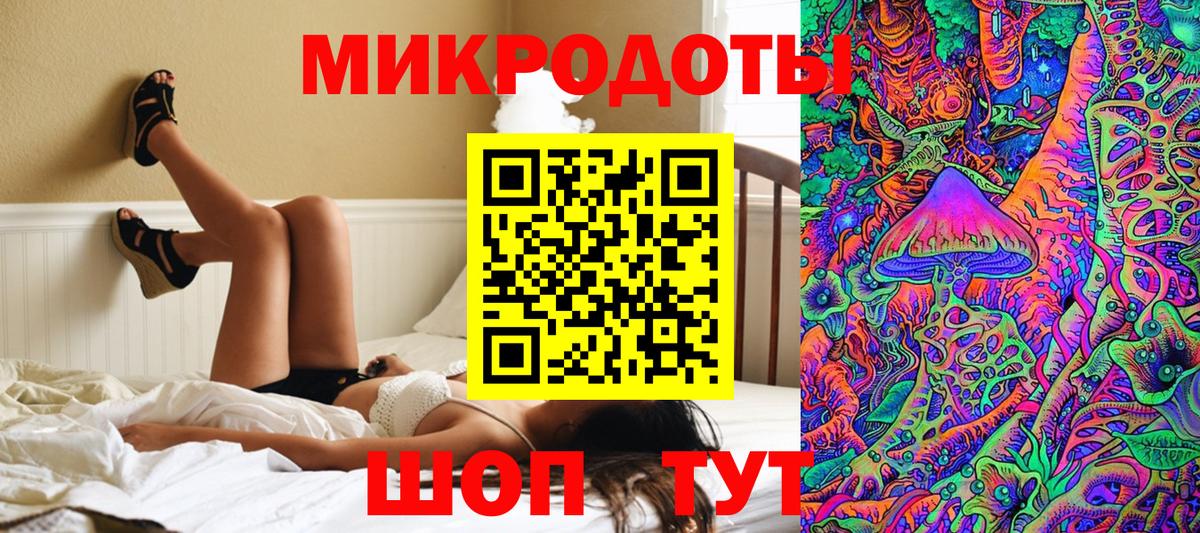 Галлюциногенные грибы Psilocybine cubensis Старая Русса