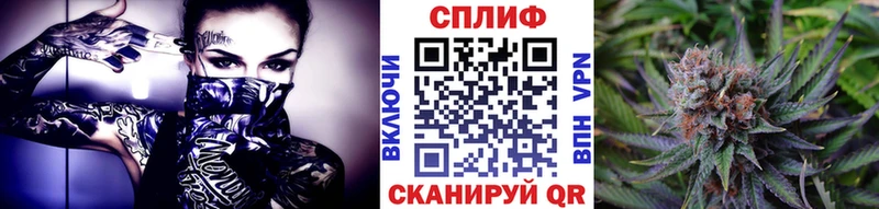 где купить наркоту  Старая Русса  МАРИХУАНА конопля 