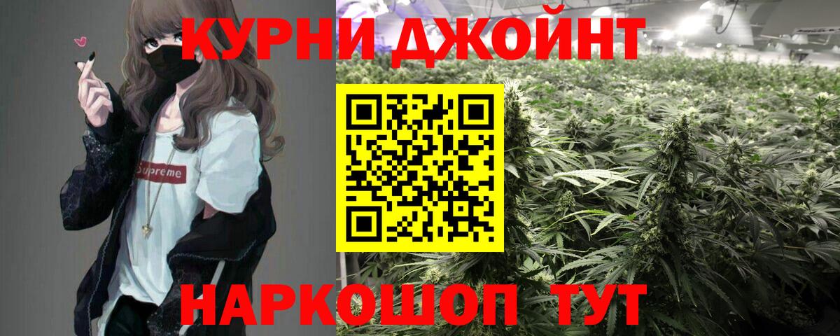 Бошки марихуана планчик  Каннабис индика  Старая Русса  МАРИХУАНА планчик  Вход с VPN 